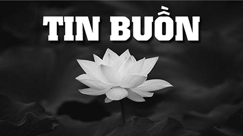 TIN BUỒN